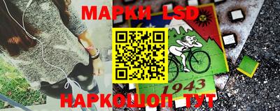 spice Рыбинск