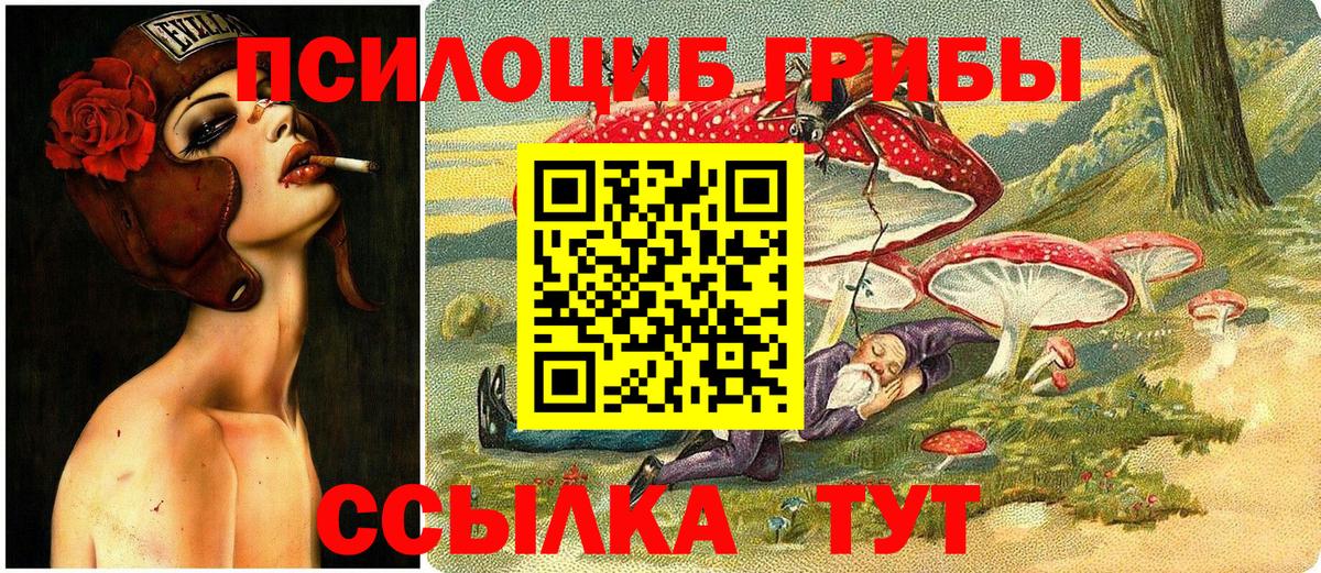 Богородицк  Галлюциногенные грибы Magic Shrooms  Вход с VPN  Галлюциногенные грибы MAGIC MUSHROOMS 
